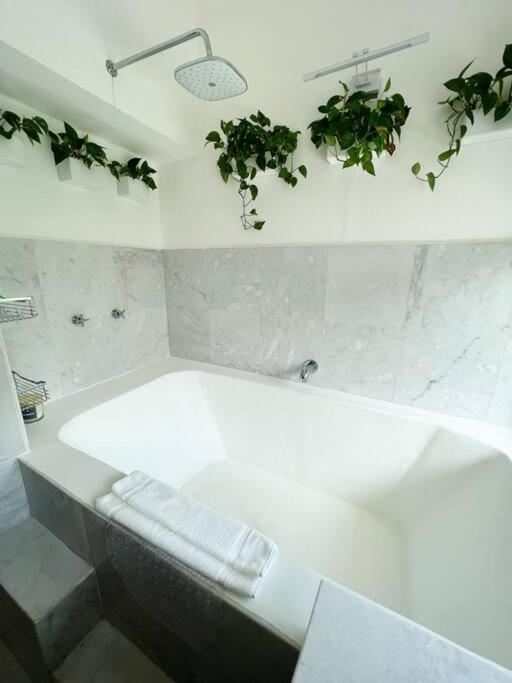 Beautiful Jungle House On A Strategic Location Villa Cancun Exterior photo